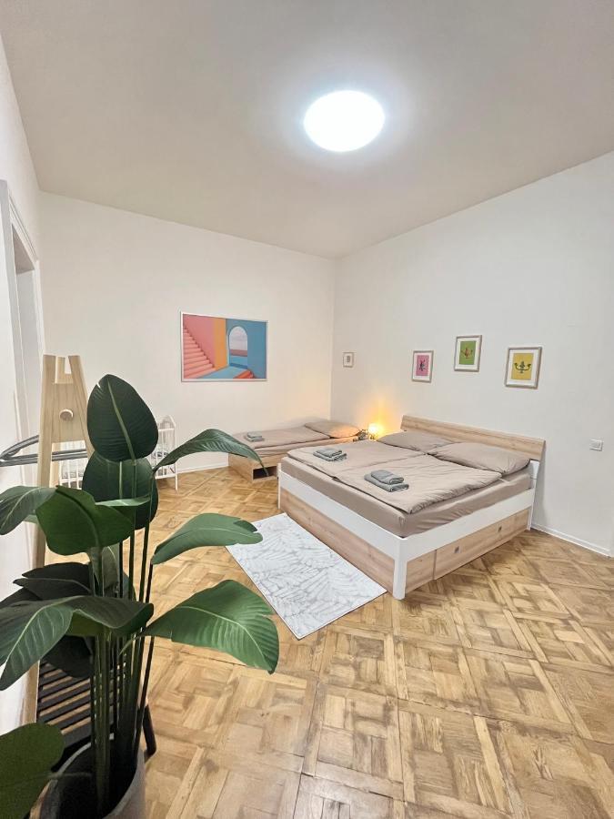 Spacious 2bdr With Free Parking In Wenceslas Square Prague